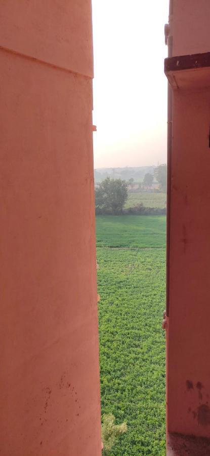 Untrained & Unplanned Appartement Jabalpur Buitenkant foto