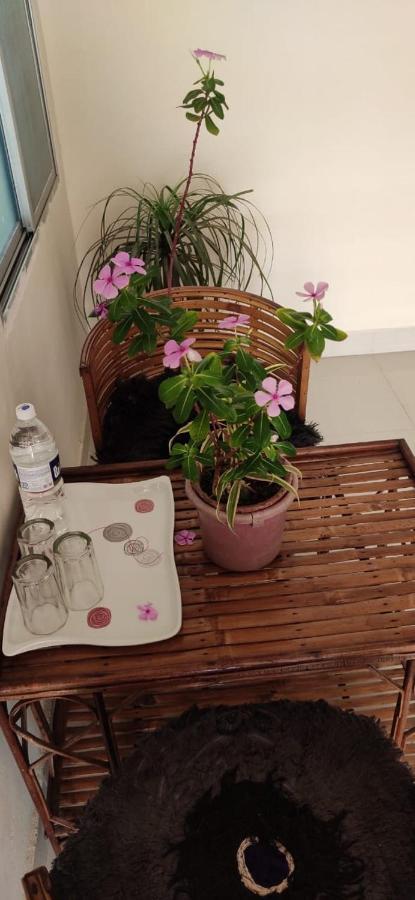 Untrained & Unplanned Appartement Jabalpur Buitenkant foto